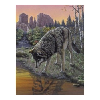 Malování podle čísel Vlk