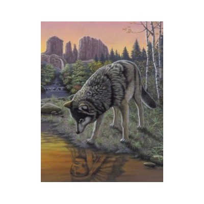 Malování podle čísel Vlk