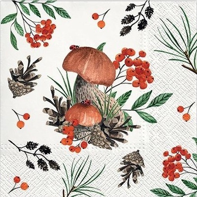 Ubrousek 33x33cm Houby, bobule, šišky – Zbozi.Blesk.cz