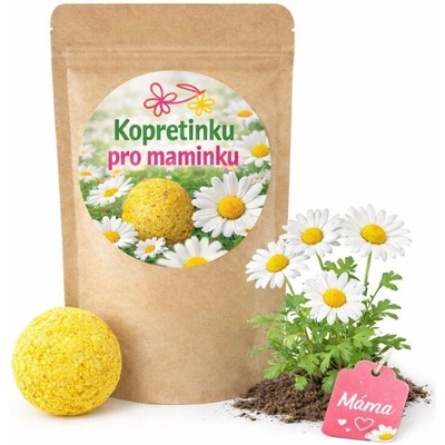 Naklíčeno Margarétku pre mamičku - kvetinová bomba