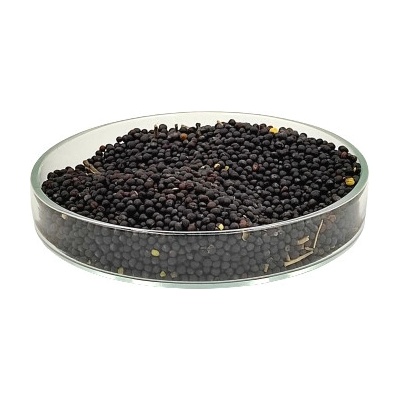 VyrobaBoilies.sk Repkové semienko 1kg