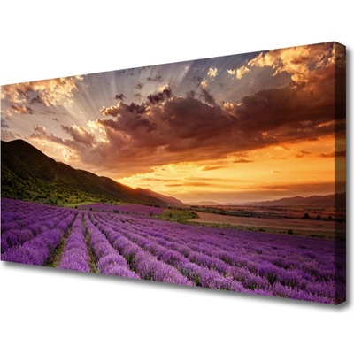 Obraz Canvas Pole levanduľa západ slnka 100x50 cm