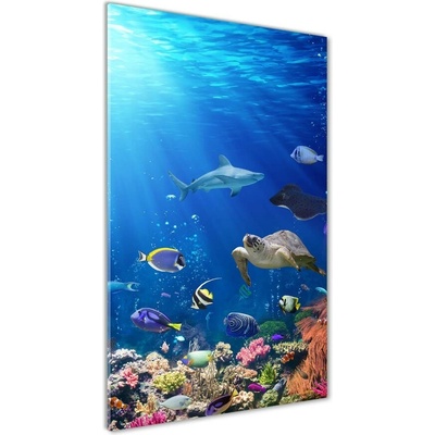 Vertikálny foto obraz sklo tvrdené Koralový útes 50x100 cm