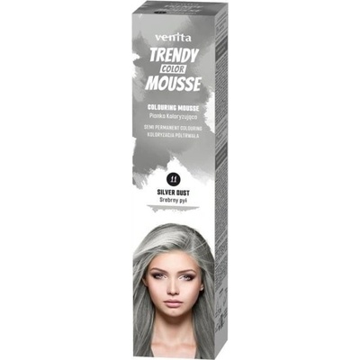 Venita Trendy farebné penové tužidlo č. 11 strieborný prach 75 ml