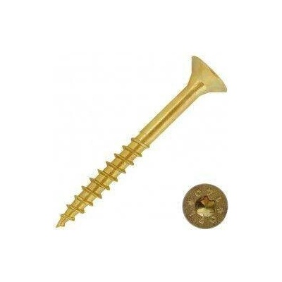 vrut zapuštěný 4*60/36mm TORX20 částečný závit