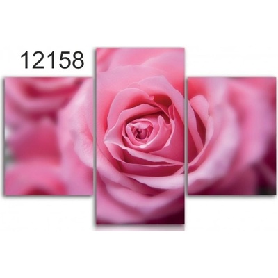 Divio Třídílný obraz na plátně růže, vzor 12158 Velikost: 60x90 cm