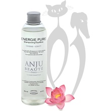 Anju Beauté Energie Pure šetrný bez vůně 250 ml