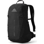 Gregory Arrio 20 RC