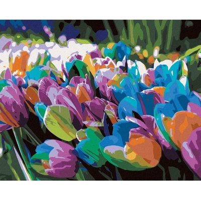 Zuty Malování podle čísel DUHOVÉ TULIPÁNY