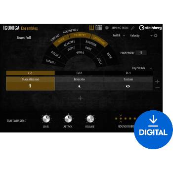 Steinberg Iconica Ensembles (Дигитален продукт)
