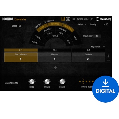 Steinberg Iconica Ensembles (Дигитален продукт)