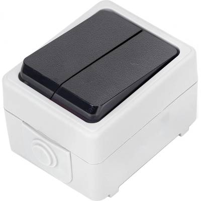 Aigostar - Двоен домашен ключ с 2 бутона, степен на защита IP54 (AI2734)