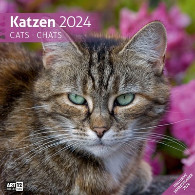 Ackermann Календар Ackermann - Cats, 2024 (4420)