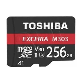 Toshiba 256GB C10/U3 THN-M303R2560E2