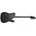 Schecter PT Black Ops