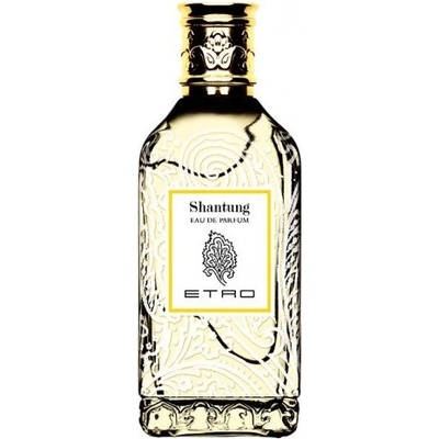 Etro Shantung parfumovaná voda dámska 100 ml