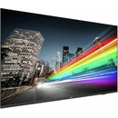 Philips 75BFL2214