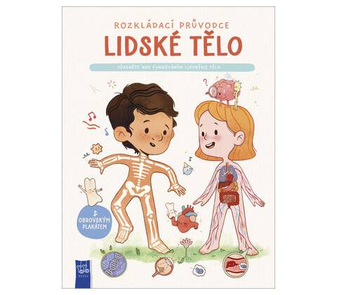 Lidské tělo