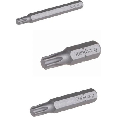 Bit Stahlberg T40 2 ks