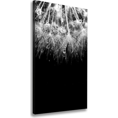 Vertikálny foto obraz na plátne Semená púpavy 50x100 cm