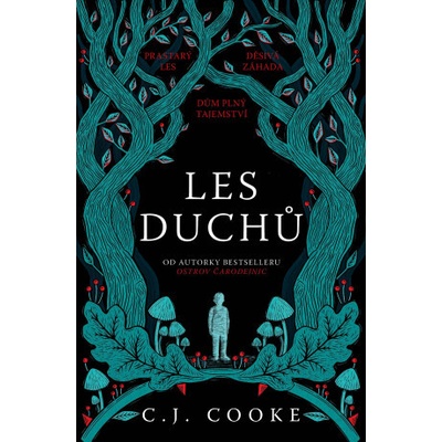 Les duchů - Carolyn Jess Cooke