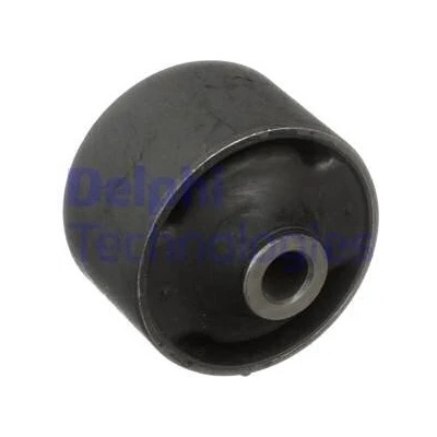 DELPHI Uloženie riadenia TD1704W