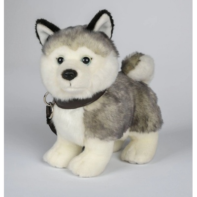 PES HUSKY s vodítkem 25 cm