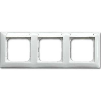 Busch-Jaeger 2CKA001754A4831