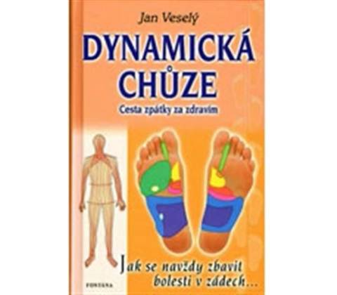 Dynamická chůze