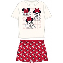 Minnie Mouse licence dámské Mix barev