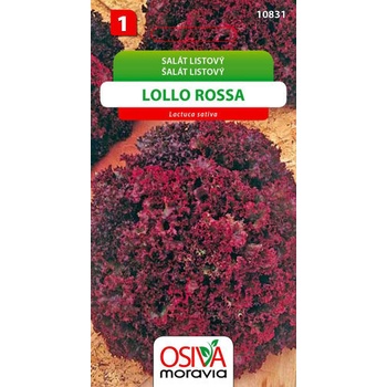Salát listový Lollo Rossa 0,5 g