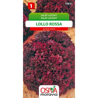 Salát listový Lollo Rossa 0,5 g