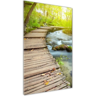 Vertikálny foto obraz sklenený Chodník v lese 50x100 cm