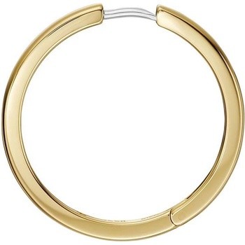 Fossil náušnice JF04638710