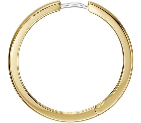 Fossil náušnice JF04638710