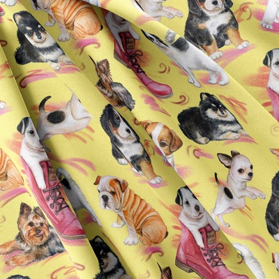 IMPAR Softshell – Puppies