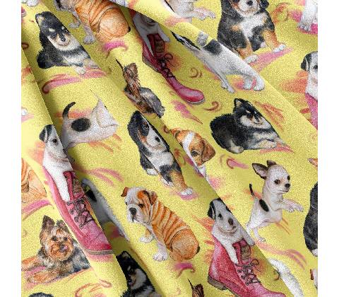 IMPAR Softshell – Puppies