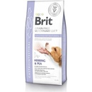 Brit Veterinary Diet Dog Grain Free Gastrointestinal 12 kg