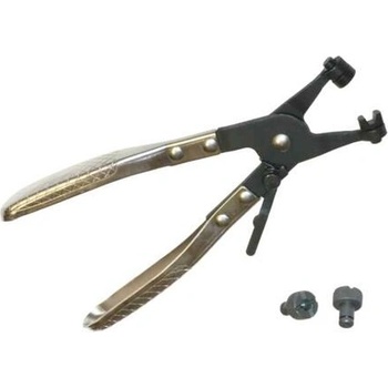 Triumf 100-00673