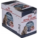 Krmivo pro kočky Royal Canin Indoor v omáčce 12 x 85 g