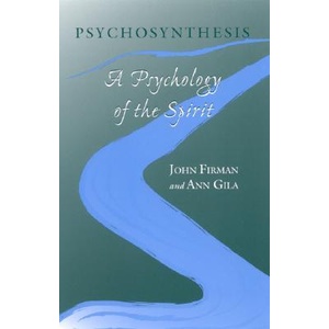 Psychosynthesis | John Firman, Ann Gila (ISBN: 9780791455340)