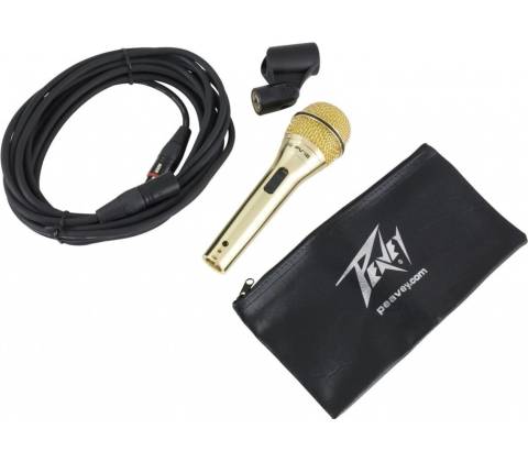 Peavey PVi 2G