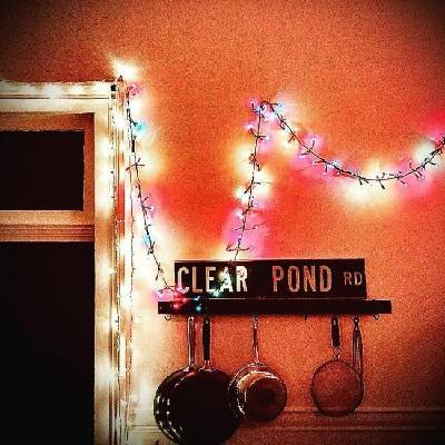 Kristin Hersh - Clear Pond Road (Limited Edition) (Coloured) (LP) (0809236164919)