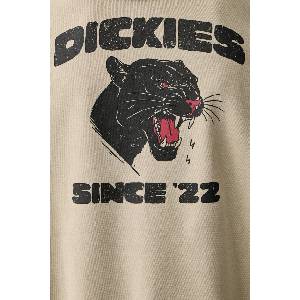 Dickies суичър с качулка мъжки с памук (DK0A8CHWDS01)