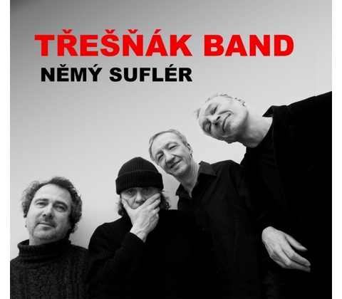 Vlasta Třešňák