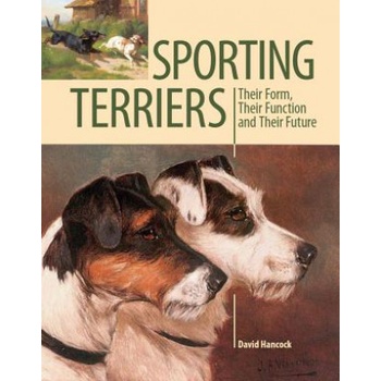 Sporting Terriers | David Hancock