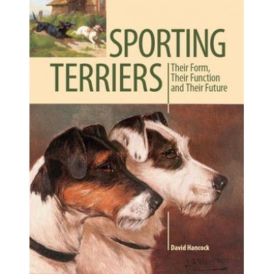 Sporting Terriers | David Hancock