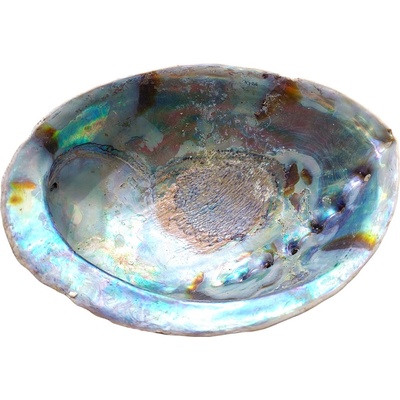 Milujeme Kameny vykuřovací mušle Abalone – Zboží Dáma