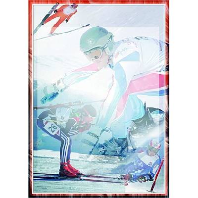 diplom 85