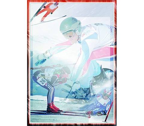 diplom 85